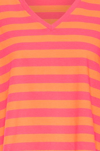 Juniper V Neck Stripe Tee